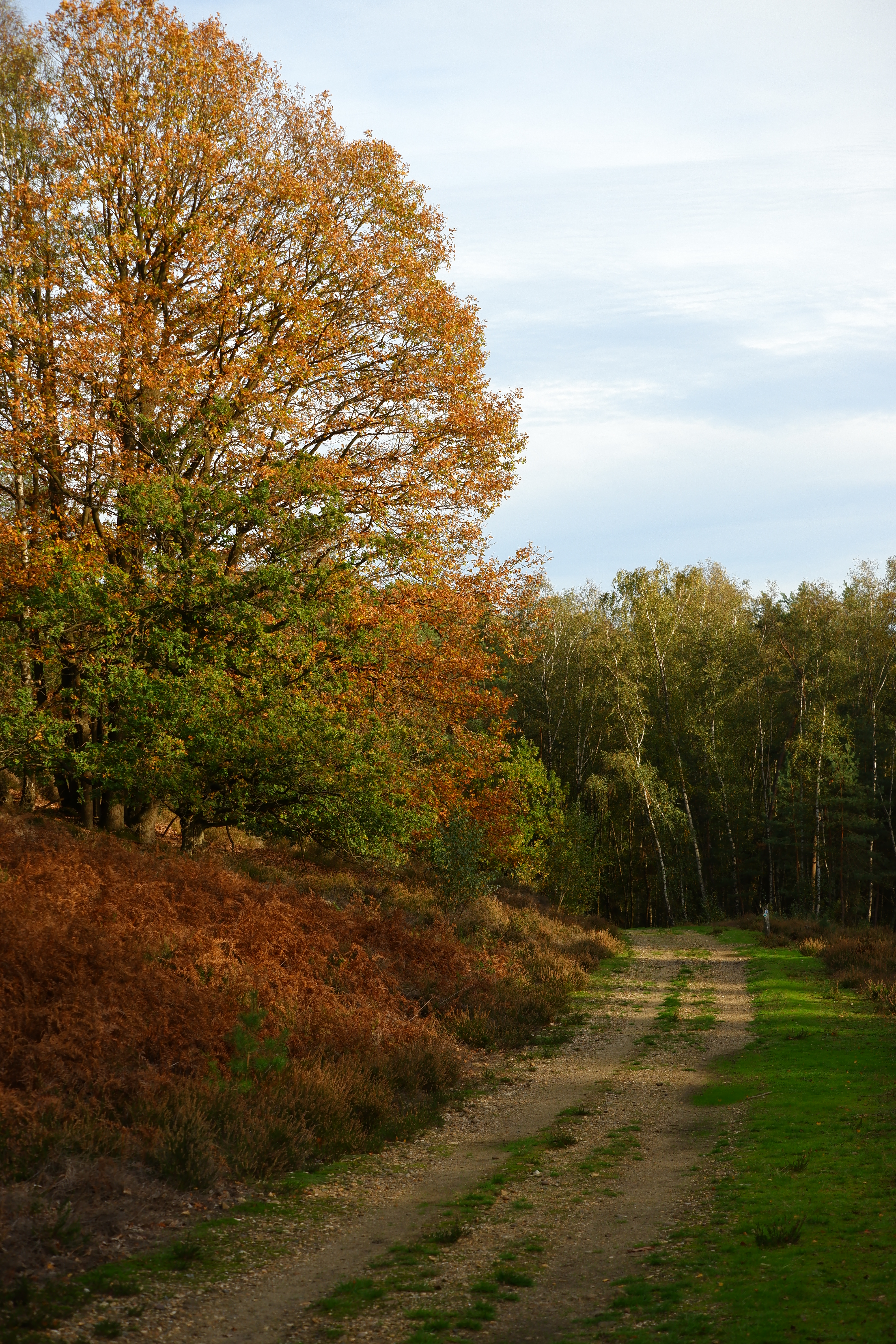 wandelen Limburg België landschap Maasmechelen vallei kikbeekbron prachtige natuur