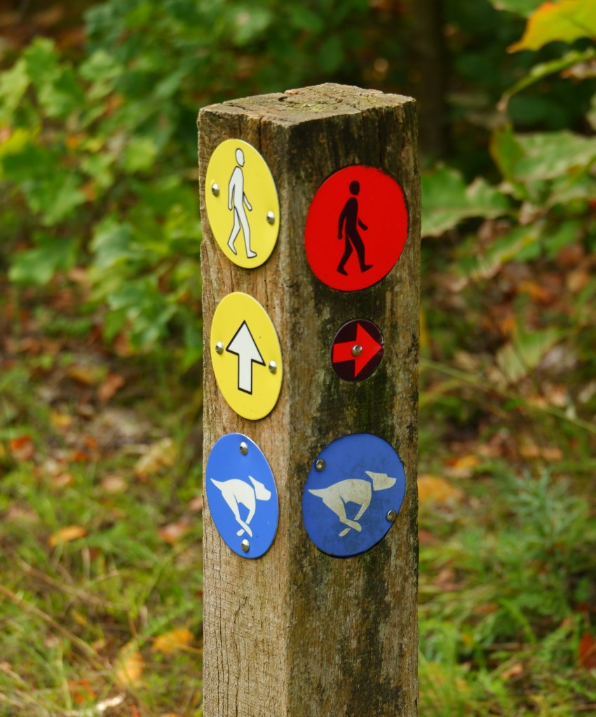 natuurgebied
Chaamse Bossen wandelpad wandelroute natuurdomein Noord-Brabant boswandeling Nederland Benelux