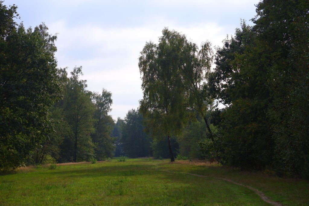 natuurgebied
Chaamse Bossen wandelpad wandelroute natuurdomein Noord-Brabant boswandeling Nederland Benelux