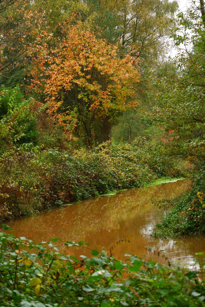 Grote Netewoud Nete natuurdomein wandelen fietsen mountainbiken paardrijden wandeling