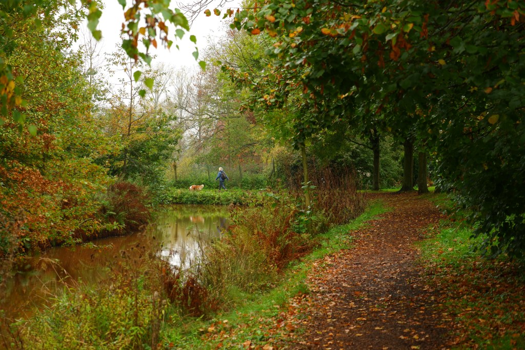 Grote Netewoud Nete natuurdomein wandelen fietsen mountainbiken paardrijden wandeling 