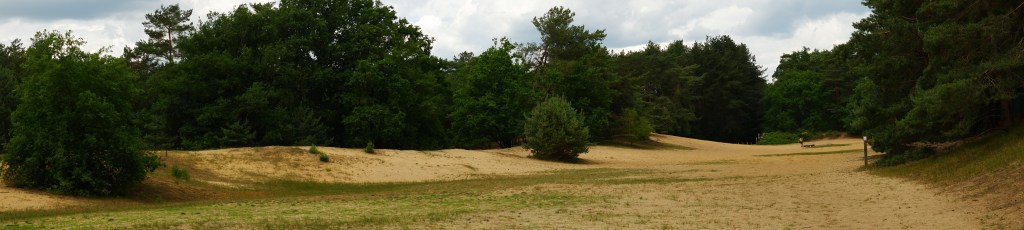 kapucienenberg geel grote netewoud wandelen wandeling spelen kinderen hond