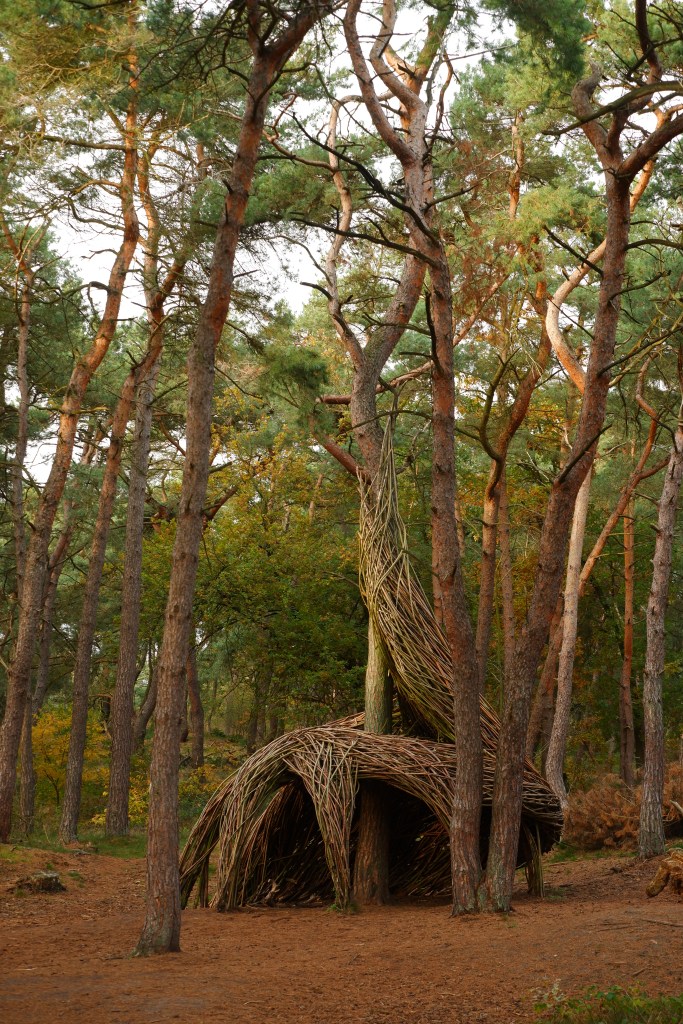 Lommelse Sahara Limburg vijvers natuurgebied wandelen wandelroute speelbos