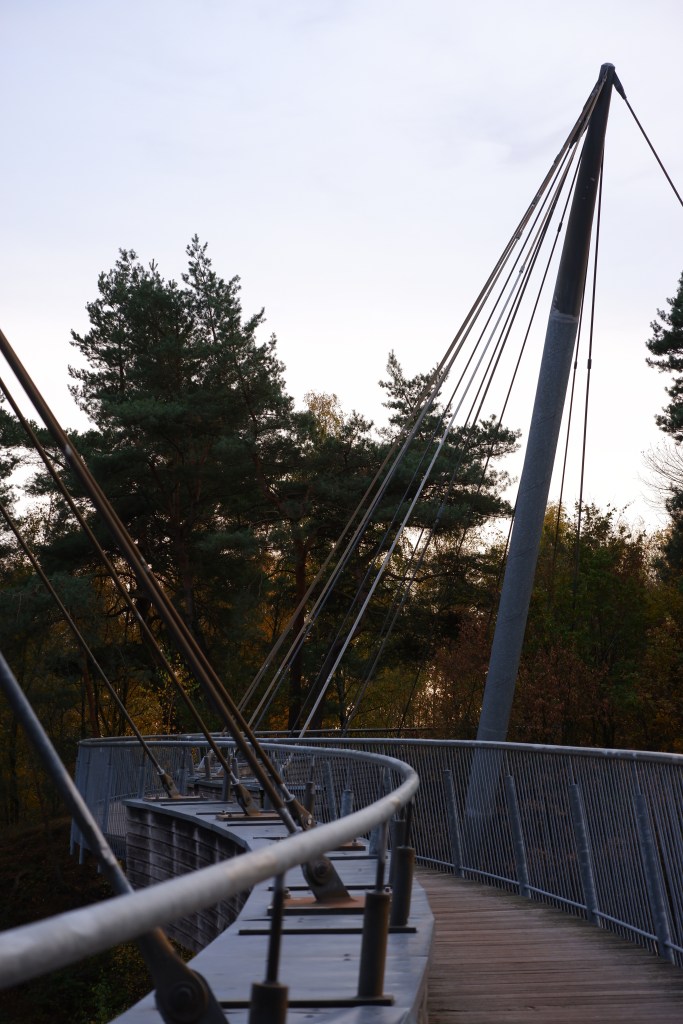 Lommelse Sahara Limburg vijvers natuurgebied wandelen wandelroute 