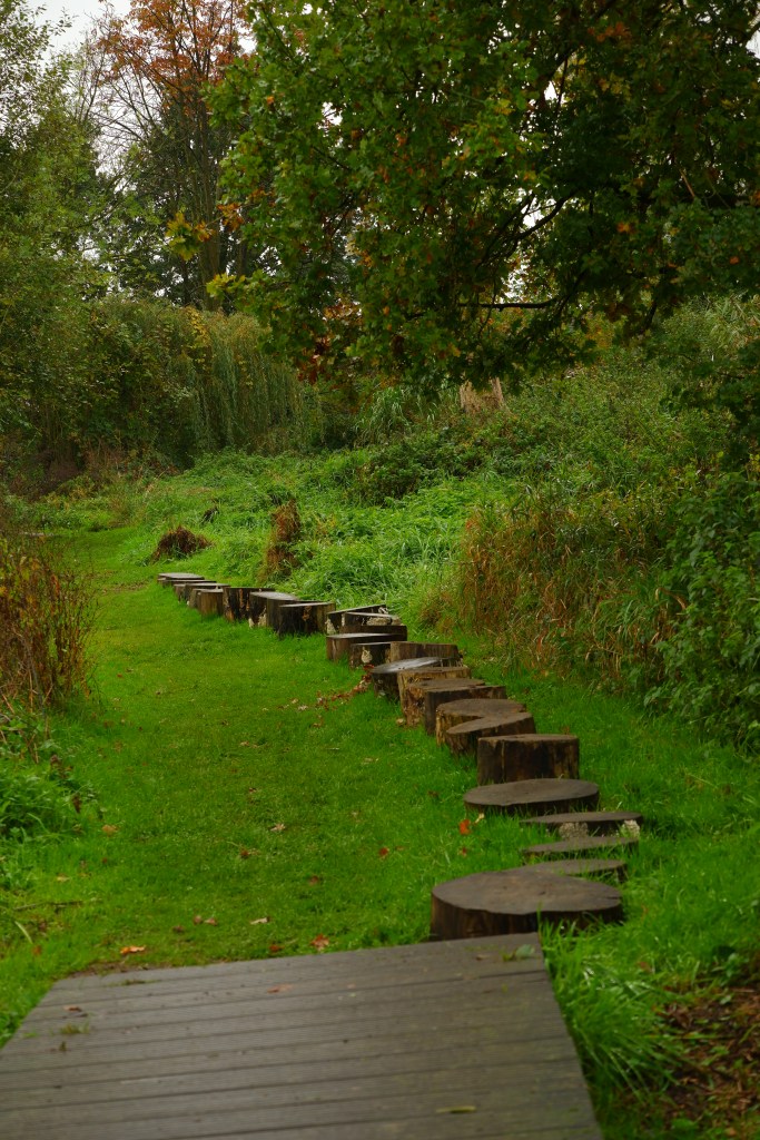 Grote Netewoud Nete Totterpad natuurdomein wandelen fietsen mountainbiken paardrijden wandeling 
