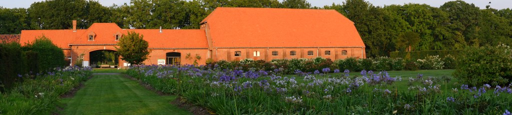 kolonie Merksplas wandelen natuurgebied natuurwandeling wandelroute arboretum plantentuin