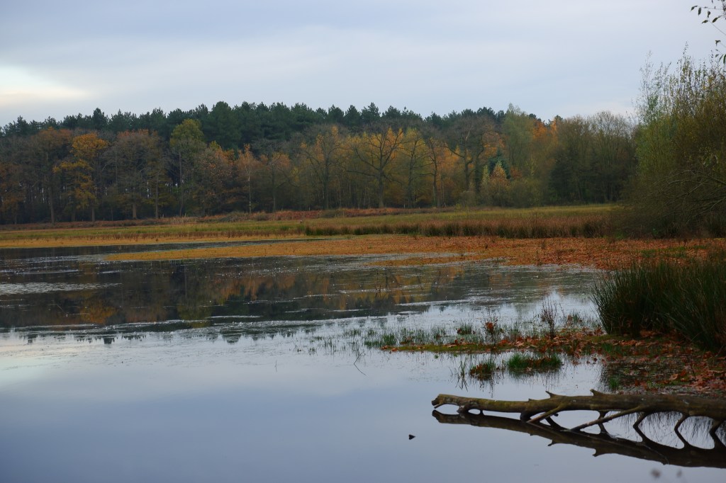 kolonie Merksplas wandelen natuurgebied natuurwandeling wandelroute Biesven