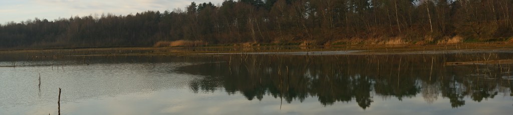 wandelen natuurwandeling Blakheide Beerse, België Benelux