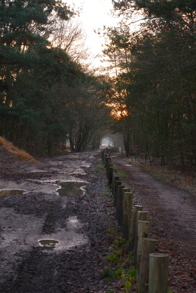 wandelen natuurwandeling Blakheide Beerse, België Benelux