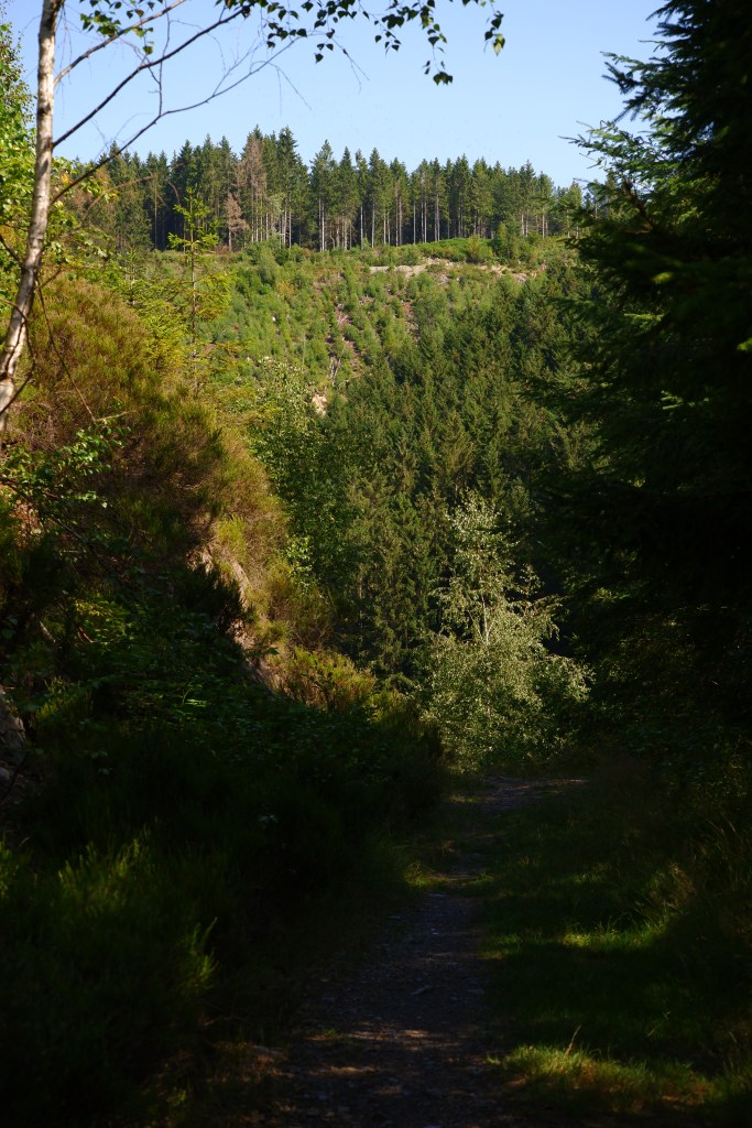 mooiste wandelingen studiobenelux wandelen natuurwandeling prachtige natuur ferme libert provincie luik belgië benelux