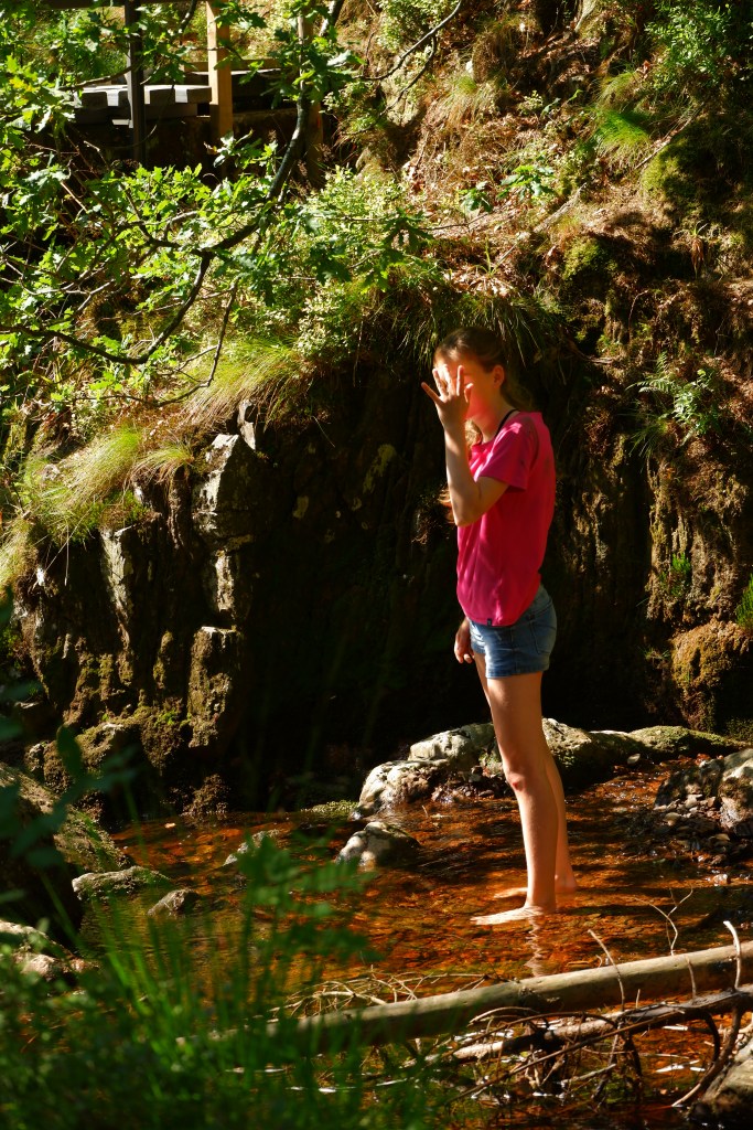 mooiste wandelingen studiobenelux wandelen natuurwandeling prachtige natuur ferme libert provincie luik belgië benelux