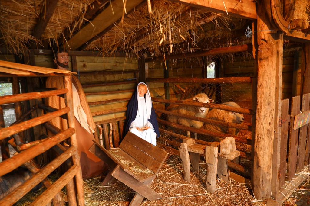 wandelen kerststal kerststallentocht wandeling kerstsfeer kerstmis Beerse