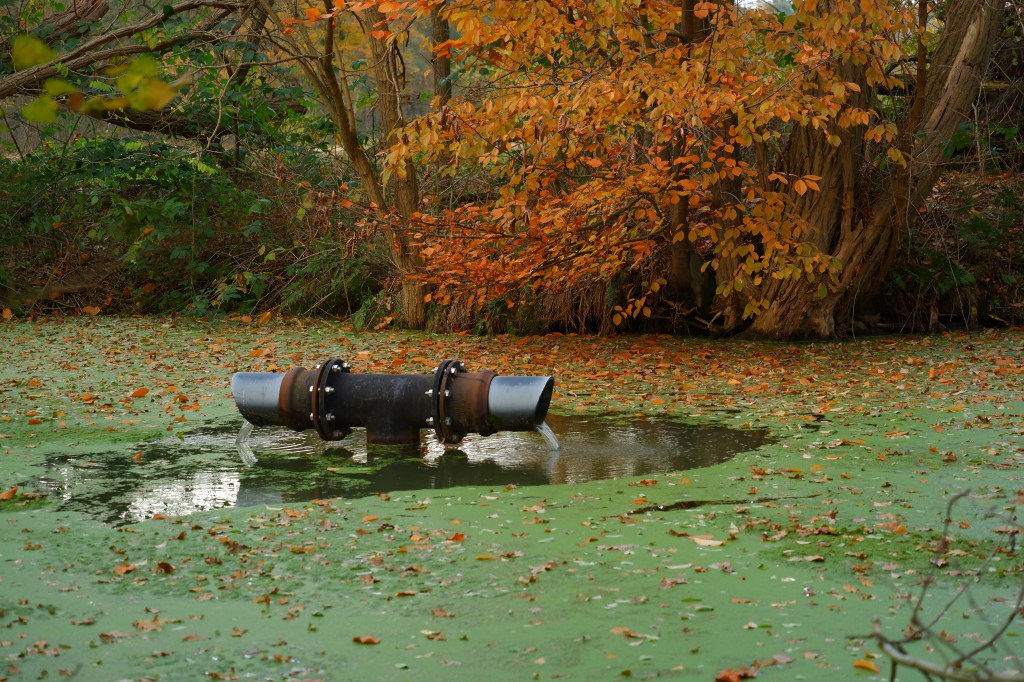kolonie Merksplas wandelen natuurgebied natuurwandeling wandelroute slotgracht ringgracht