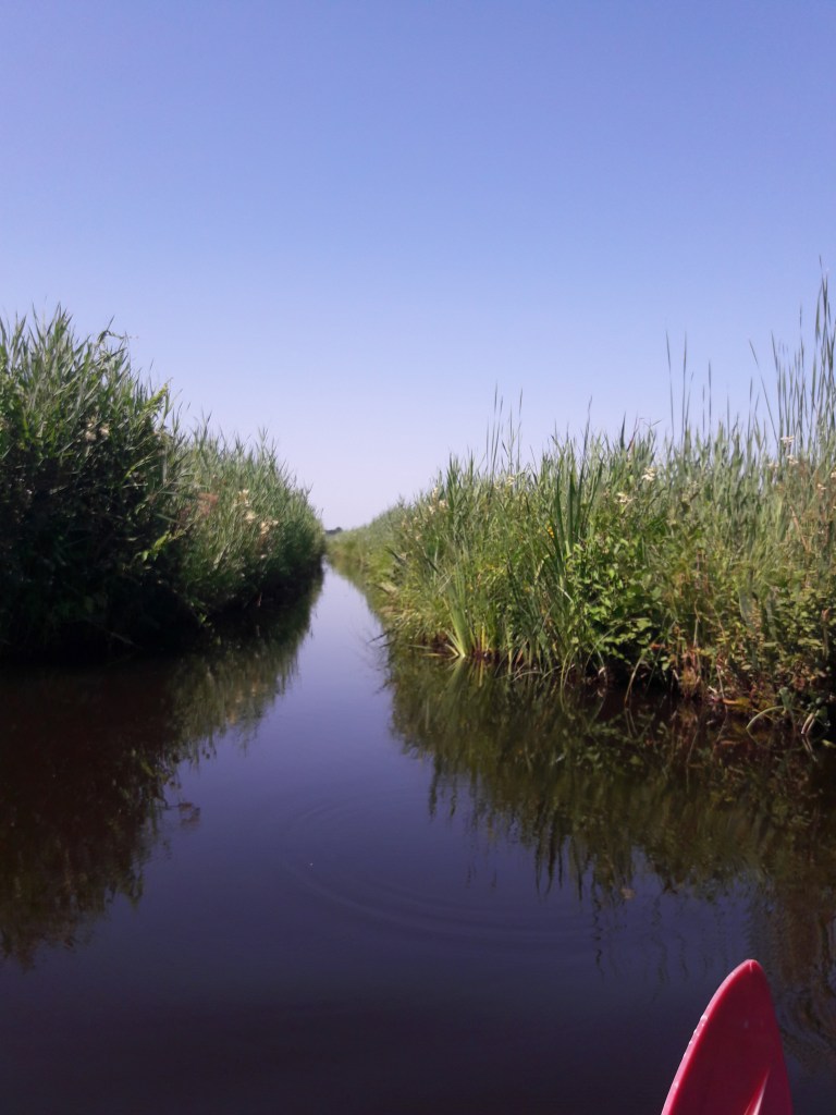 mooiste wandelingen studiobenelux wandelen natuurwandeling prachtige natuur kajakken weerribben-wieden provincie Overijsel Nederland Holland Benelux