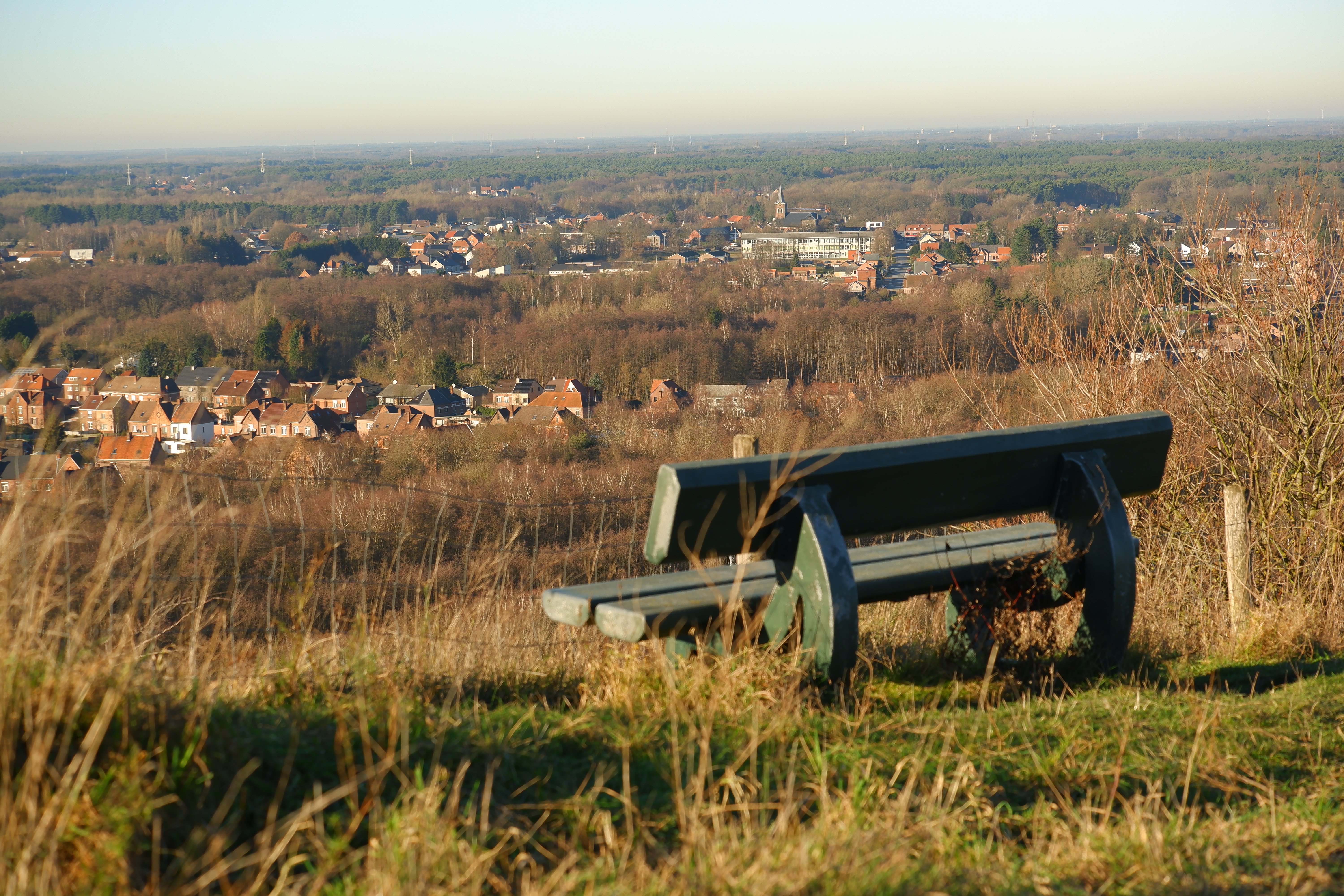 wandelen b-mine terril 2 natuurwandeling Limburg België Benelux 
