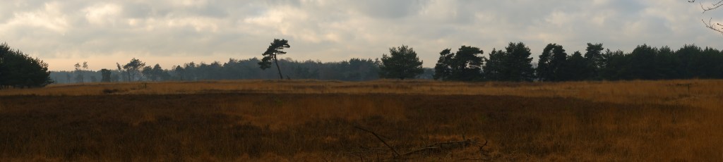wandelen wandeling natuurwandeling Noord-Brabant Landgoed de Utrecht Esbeek Nederland Benelux