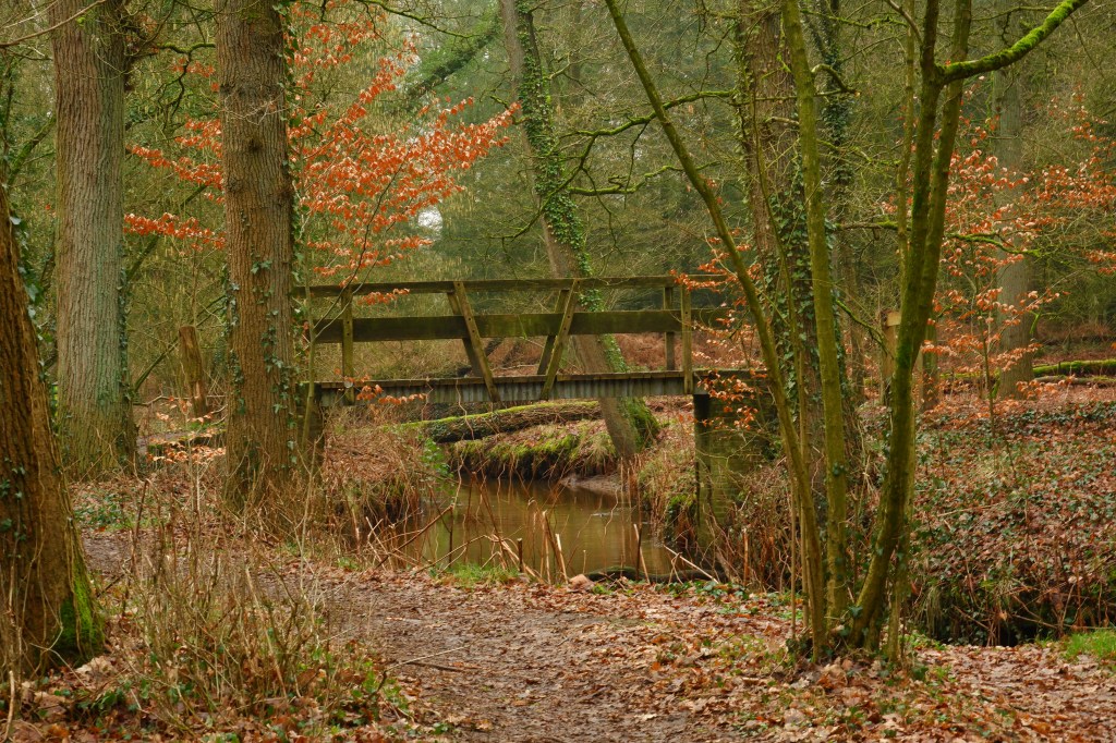 wandelen wandeling natuurwandeling Noord-Brabant Landgoed de Utrecht Esbeek Nederland Benelux