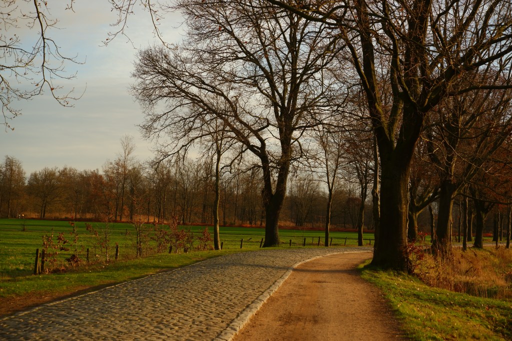 Prinsenpark Retie Hooibeekhoeve wandelen wandeling educatief centrum kasseiweg 