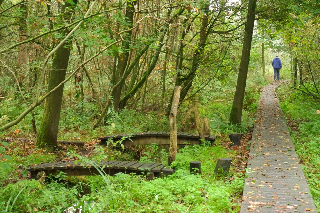 witte netevallei Retie wandeling wandelpad houten pad natuurwandeling wandelen 
