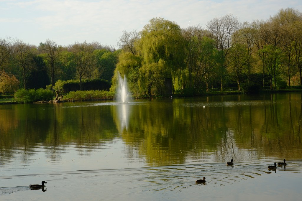 staycation reizen eigen land stadspark Turnhout België Benelux 