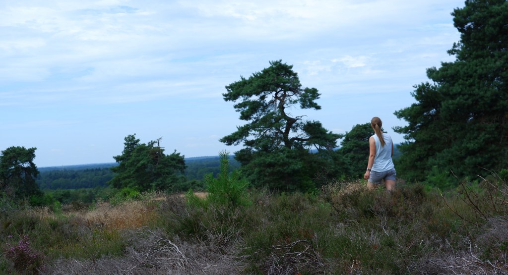wandelen wandelgek wandeling natuurwandeling natuurfotografie België Nederland Benelux 
