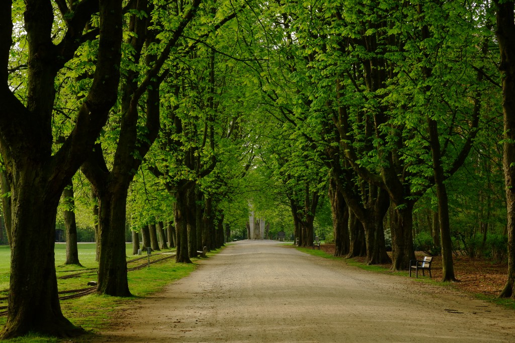 Turnhout Stadspark Kempen Vlaanderen groteroutepad wandelen wandeling België Kempen Benelux 