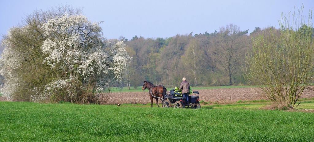 reizen België Benlux koetsentocht paardrijden 