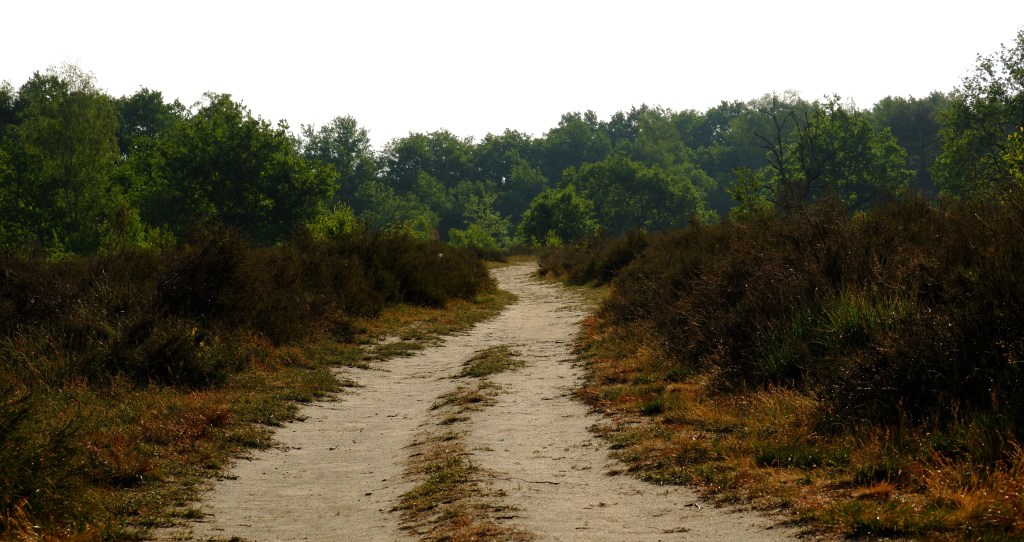 wandelen wandeling natuurwandeling Kesselse Heide  hike hiking backpacken 