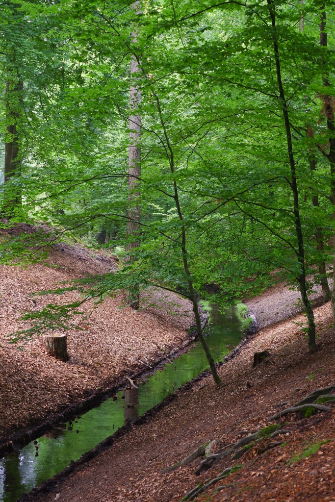 wandelen fietsen loenen veluwe Nederland loenense watervallen Benelux 