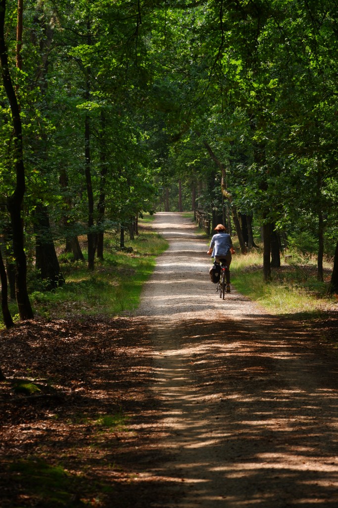 wandelen fietsen loenen veluwe Nederland loenense watervallen Benelux 