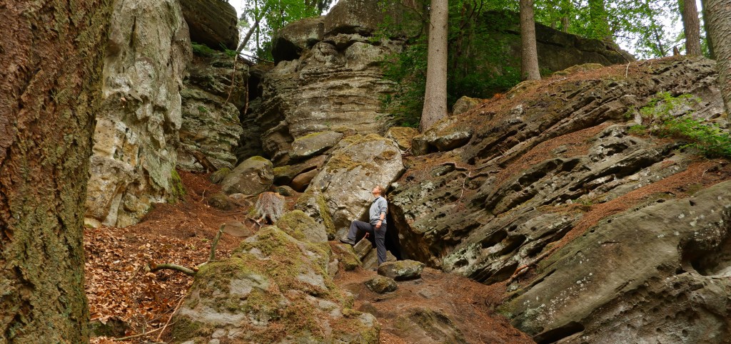 wandeltraining wandelen conditie gezondheid fitness 