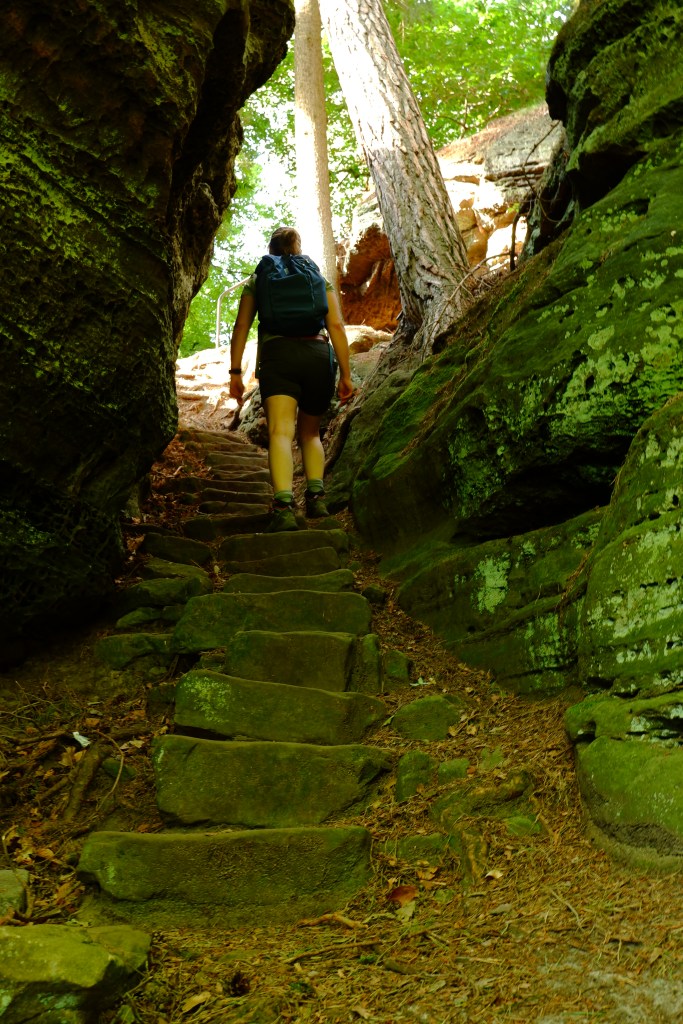 wandeluitrusting wandelbroek wandelen wandeling wandeltocht dagwandeling basisuitrusting North Face Review 