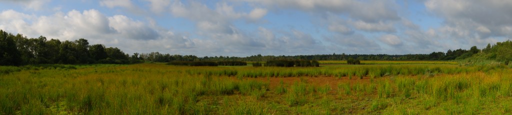 Cartierheide Hapertse Heide Noord-Brabant wandelroute wandelen natuurgebied Nederland Brabantse Kempen Benelux 