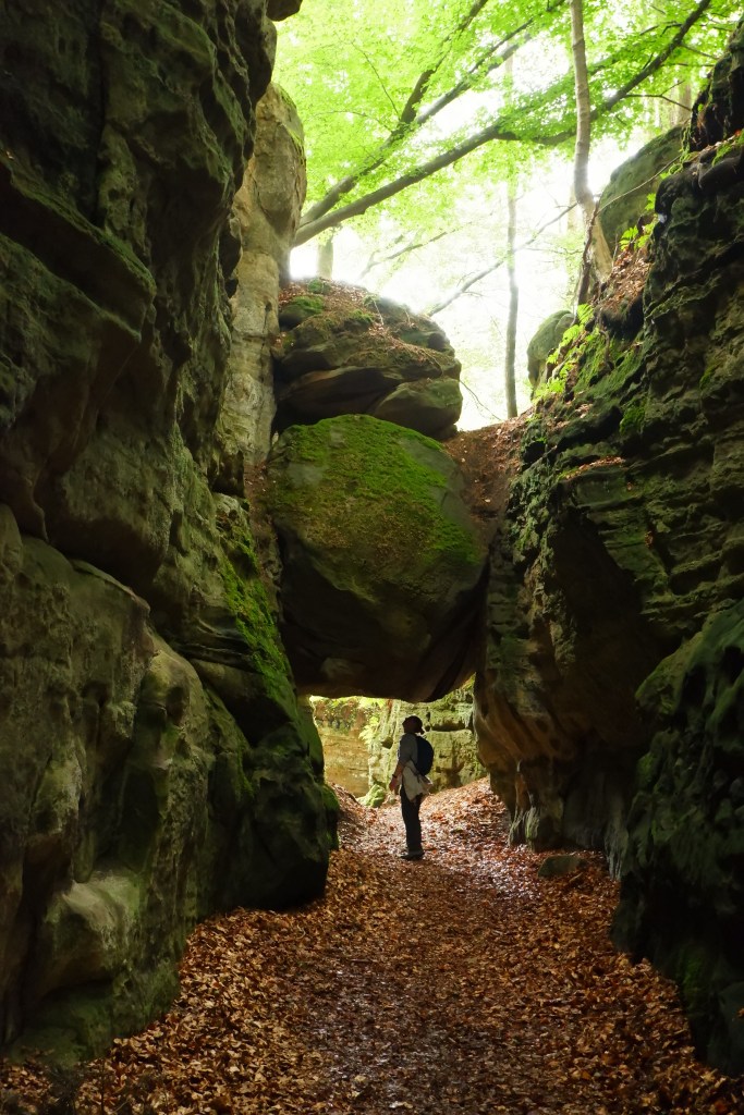 Mullerthal Consdorf reistips reisbestemming traveltips wandelen hiking hike wandelroutes rotsen C2 Belle Vue petit suisse 