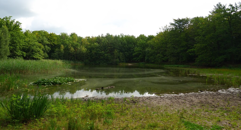 Cartierheide Hapertse Heide Noord-Brabant wandelroute wandelen natuurgebied Nederland Brabantse Kempen Benelux 