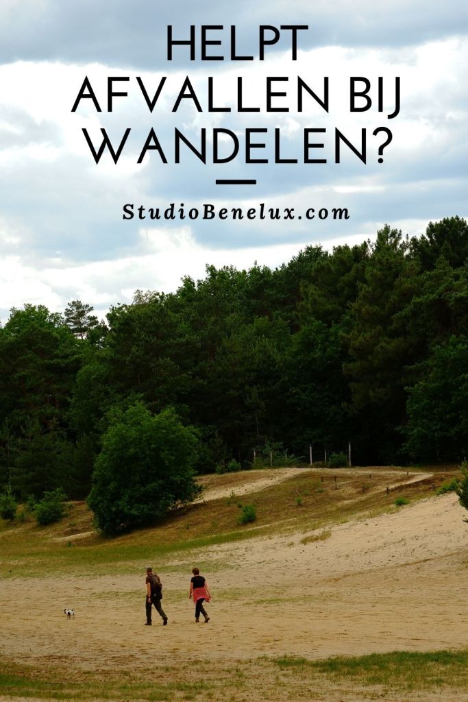 wandelen wandeltraining afvallen conditie