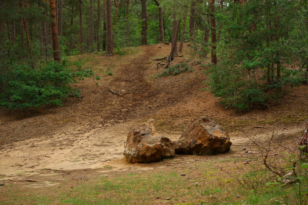 Hoge Mouw Kasterlee speelbos wandelen daguitstap wandeling wandelroute wandelpad 