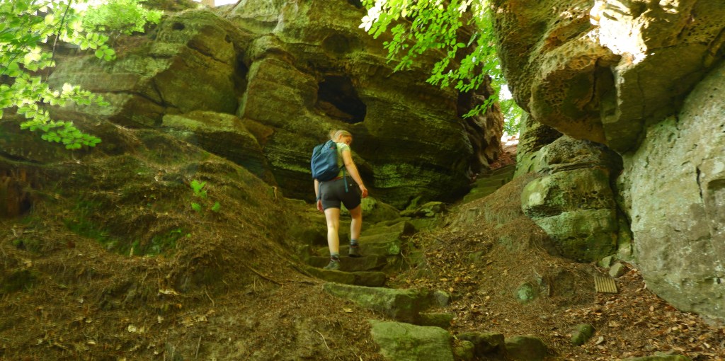 wandeluitrusting wandelbroek wandelen wandeling wandeltocht dagwandeling basisuitrusting North Face Review