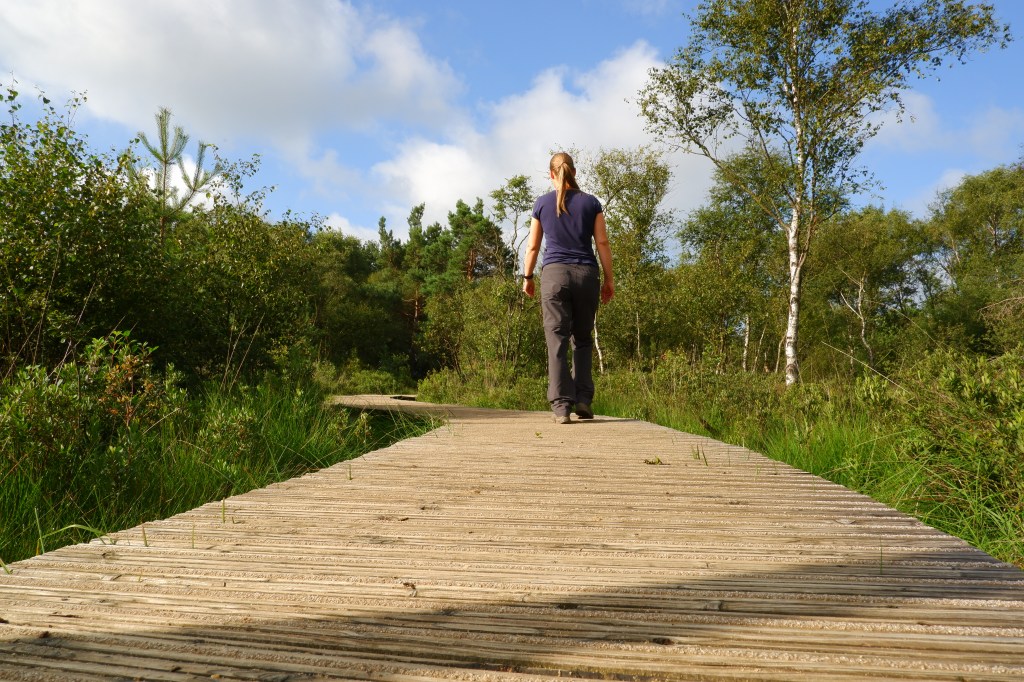 Cartierheide Hapertse Heide Noord-Brabant wandelroute wandelen natuurgebied Nederland Brabantse Kempen Benelux 