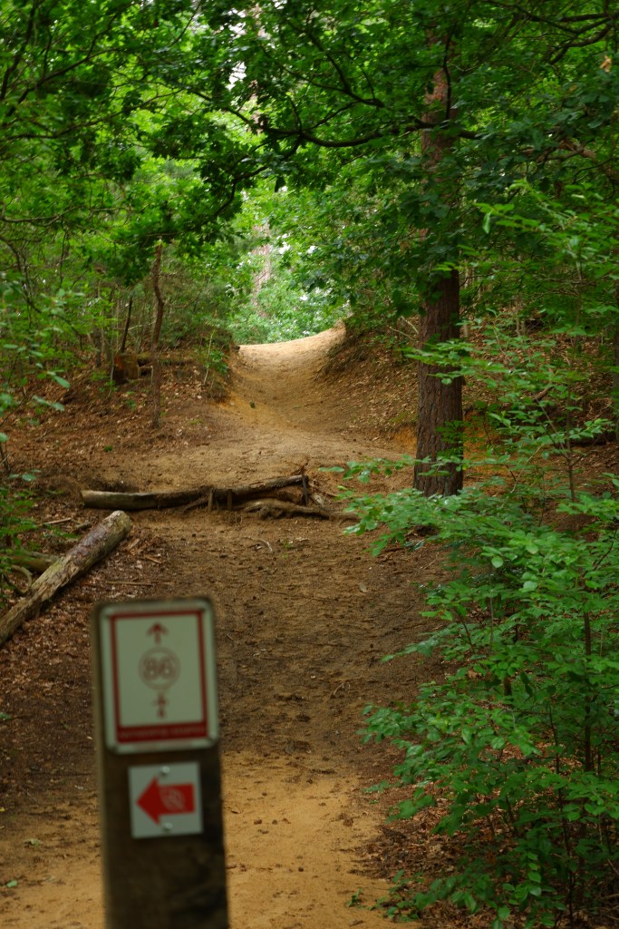 Hoge Mouw Kasterlee speelbos wandelen daguitstap wandeling wandelroute wandelpad 