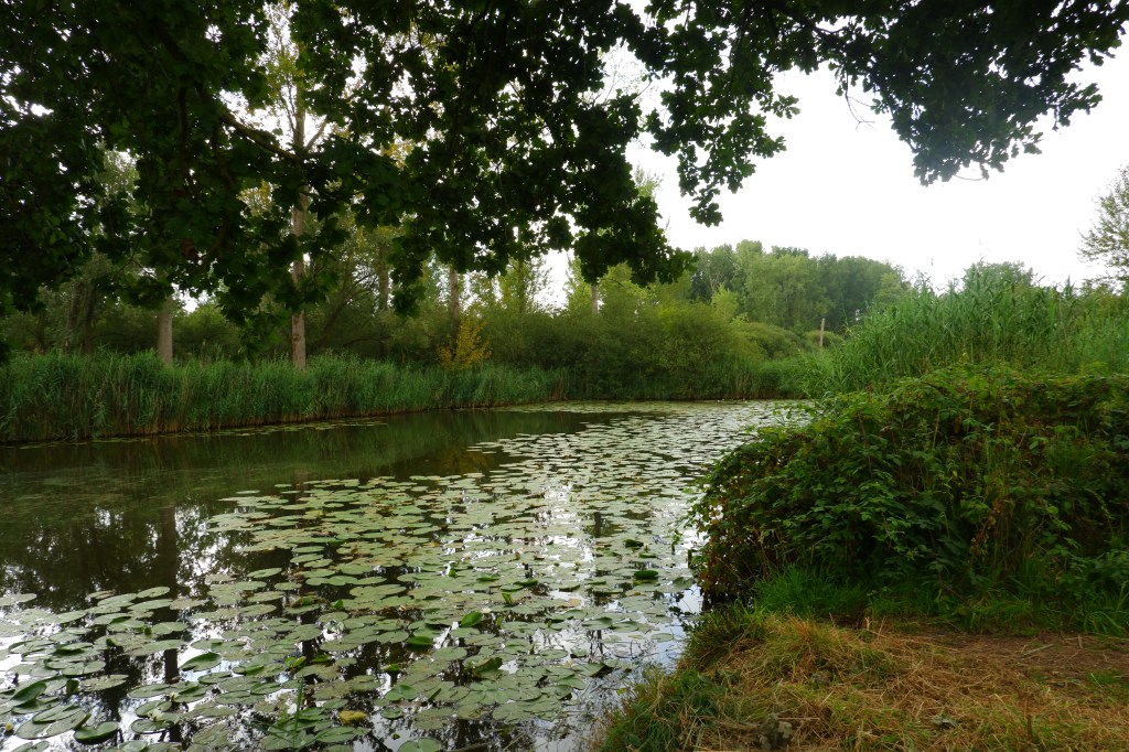 Donkmeer wandelen wandelroute recreatiedomein Oost-Vlaanderen Berlare België Nieuwdonk turfputwandeling