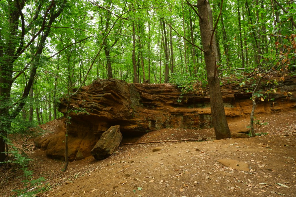 Wijngaardberg Hageland wandelen wijnranken wijngaard Vlaams-Brabant Rotselaar Wezemaal wandelroute België 