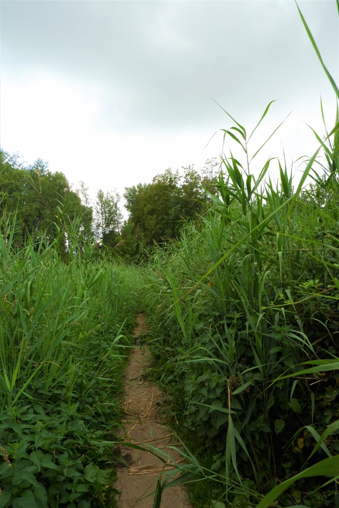 Donkmeer wandelen wandelroute recreatiedomein Oost-Vlaanderen Berlare België Nieuwdonk turfputwandeling