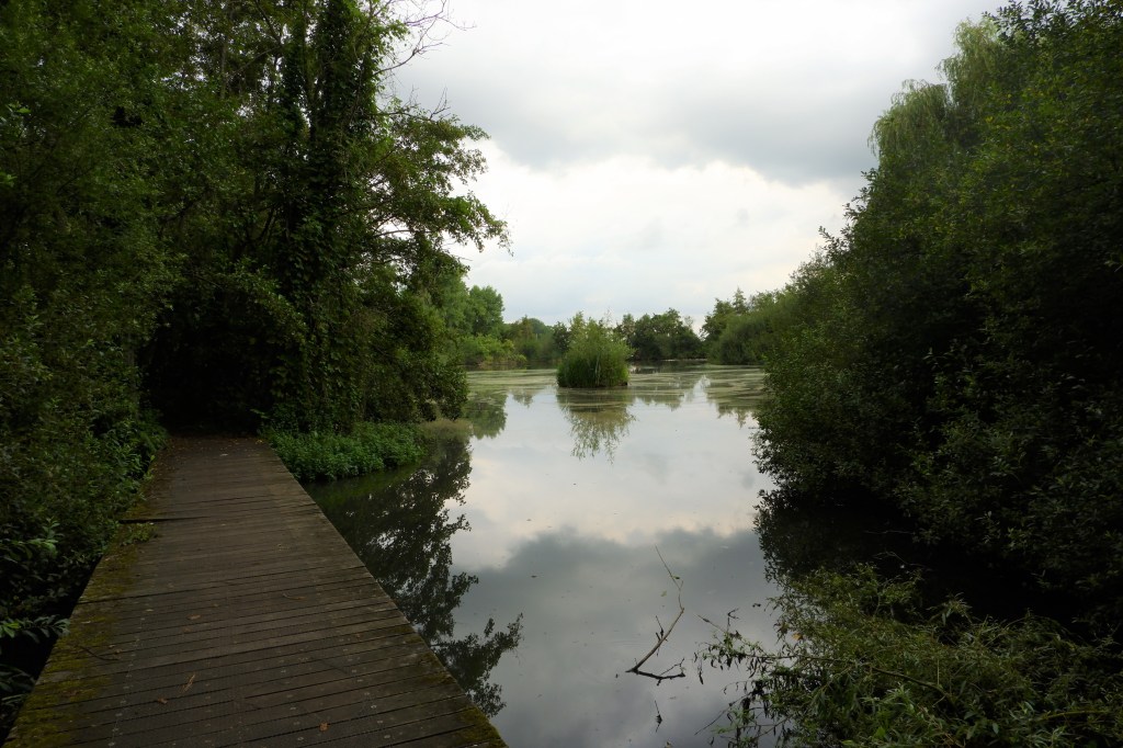 Donkmeer wandelen wandelroute recreatiedomein Oost-Vlaanderen Berlare België Nieuwdonk turfputwandeling