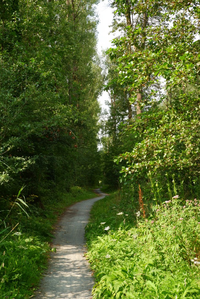 Donkmeer wandelen wandelroute recreatiedomein Oost-Vlaanderen Berlare België Nieuwdonk turfputwandeling