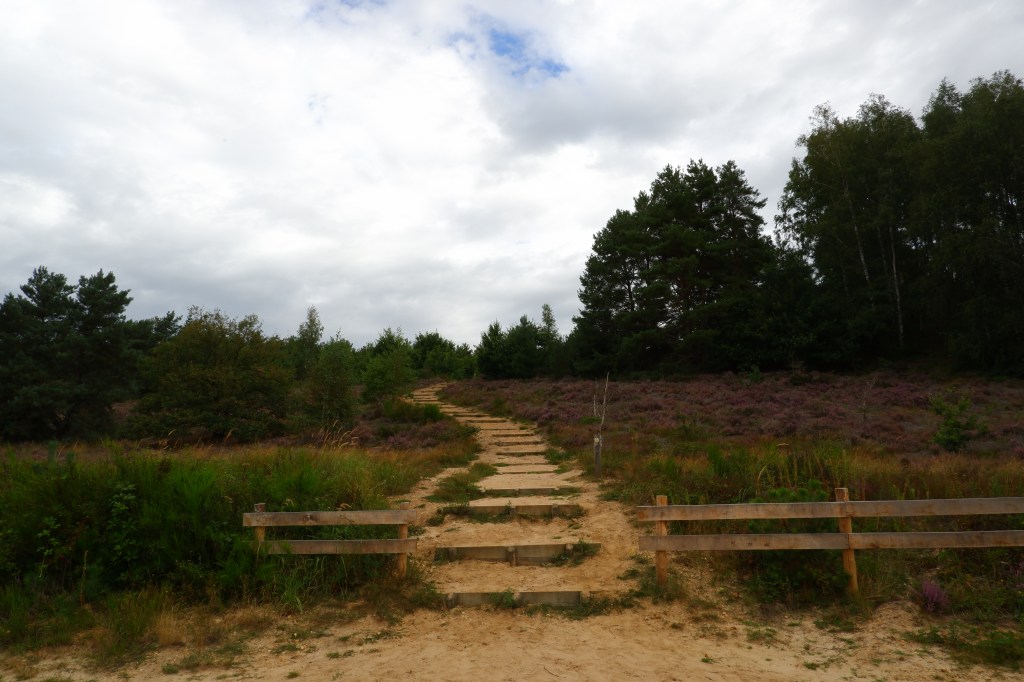 Mechelse heide wandelen wandeling wandelroute Limburg Belgisch België 