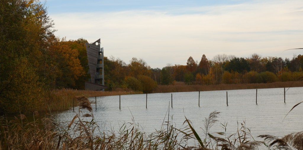 uitkijktoren zonhoven platwijers wijers vijvers wandelen wandeling limburg belgië hike