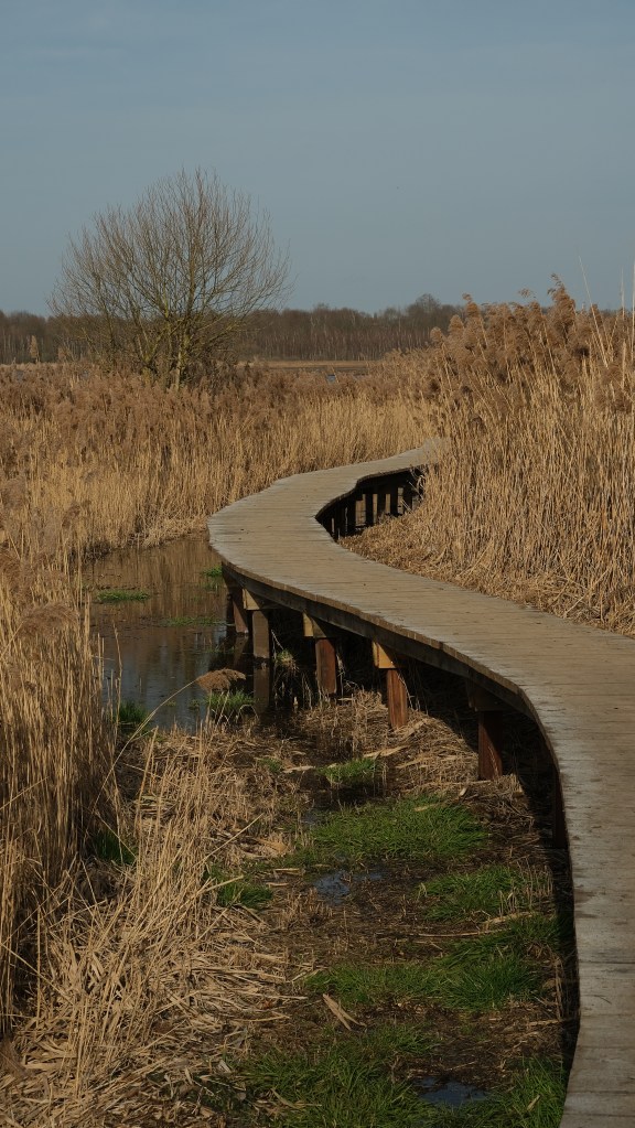 hotspot vlonderpad Vlaams-Brabant Vlaanderen meer wandelen Het Vinne provinciedomein België Belgique Belgium 