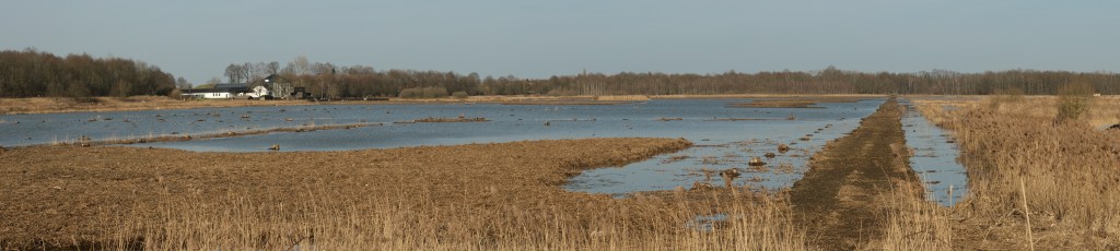 hotspot Vlaams-Brabant Vlaanderen meer wandelen Het Vinne provinciedomein België Belgique Belgium 