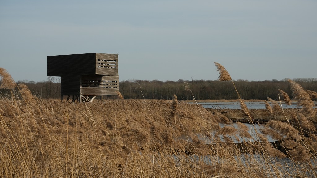 uitkijkhut  Vlaams-Brabant Vlaanderen meer wandelen Het Vinne hotspot provinciedomein België Belgique Belgium 